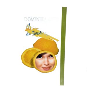 Mezczyzna do towarzystwa Dominika Stec