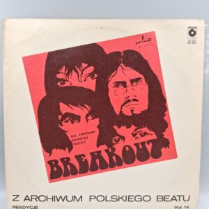 Z Archiwum Polskiego Beatu Vol. 16 LP