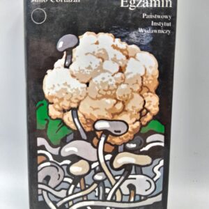 Cortázar Julio Egzamin