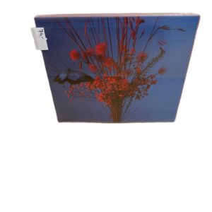 4a958263d67dc38a1093baf03537c521